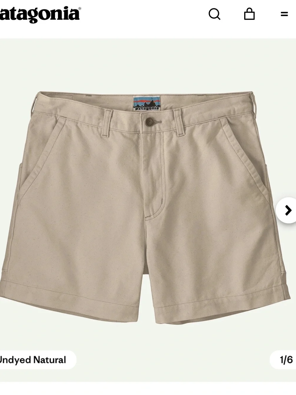 Patagonia Men's Heritage Stand Up® Shorts 36